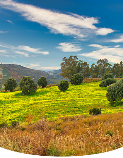 I luoghi<br>della rivelazione