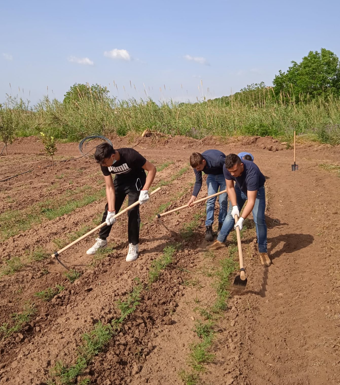 Prende il via la collaborazione tra la Cittadella e l’ Istituto  Superiore ITG-ITI di Vibo Valentia